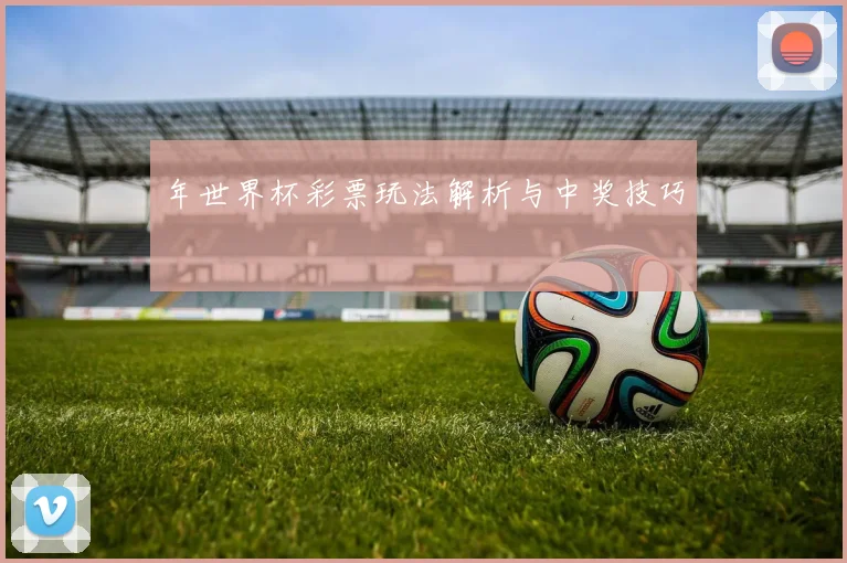 年世界杯彩票玩法解析与中奖技巧