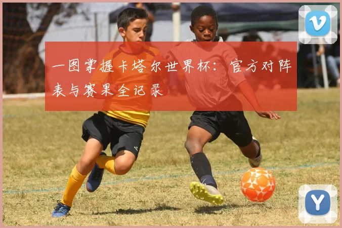 一图掌握卡塔尔世界杯:官方对阵表与赛果全记录