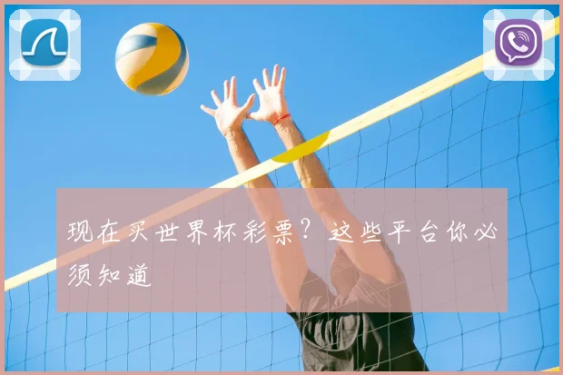 现在买世界杯彩票?这些平台你必须知道