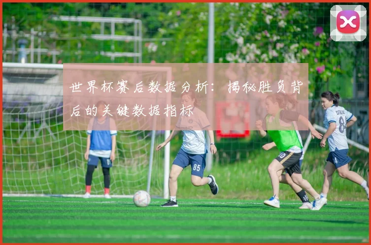 世界杯赛后数据分析:揭秘胜负背后的关键数据指标