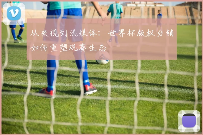 从央视到流媒体:世界杯版权分销如何重塑观赛生态