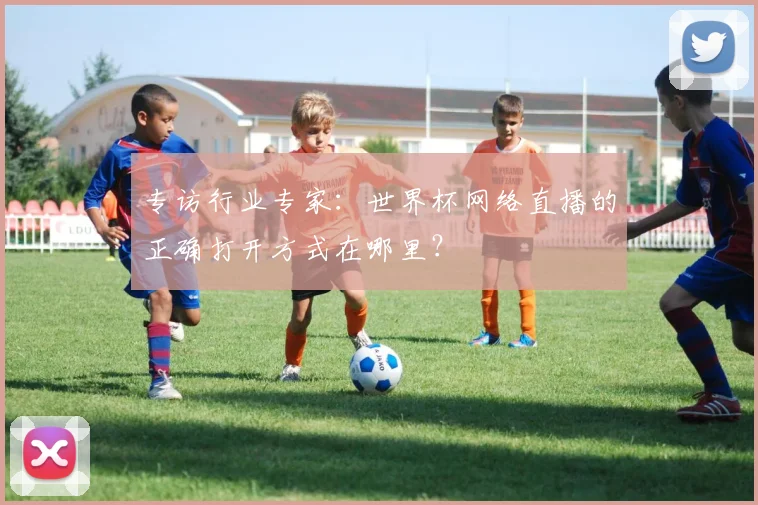 专访行业专家:世界杯网络直播的正确打开方式在哪里?