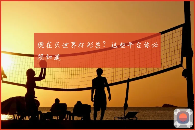 现在买世界杯彩票？这些平台你必须知道