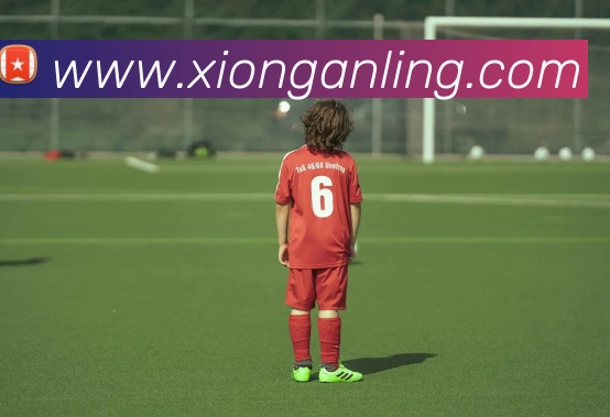 乐竞在线网页版入口APP 封面图